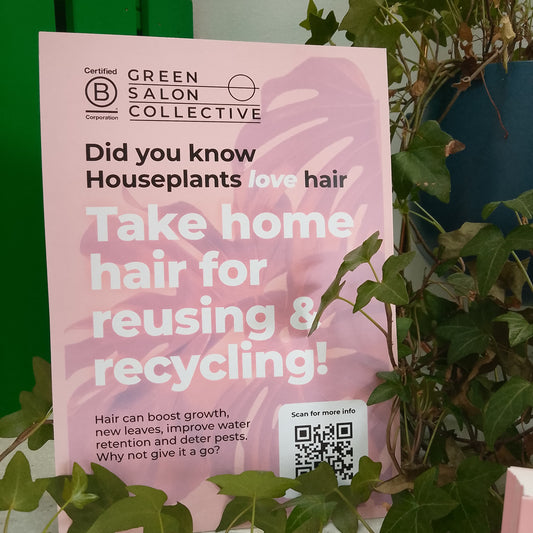 Hairy Houseplants Kit - Give your Clients Hair!